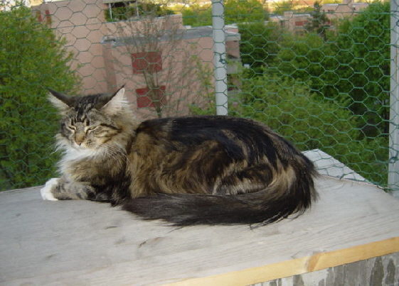 4__Mai_2007_014